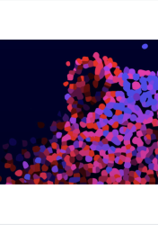 Pitacos sobre a Berlinale